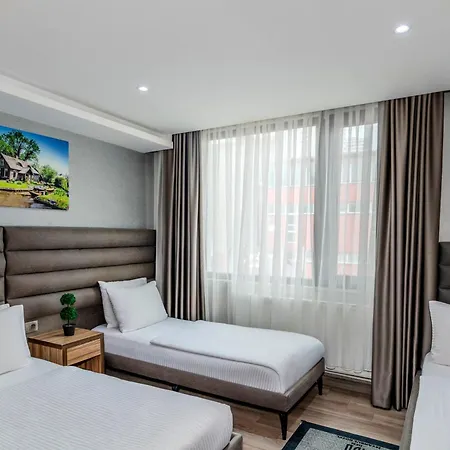 Dem Airport Hotel 4*